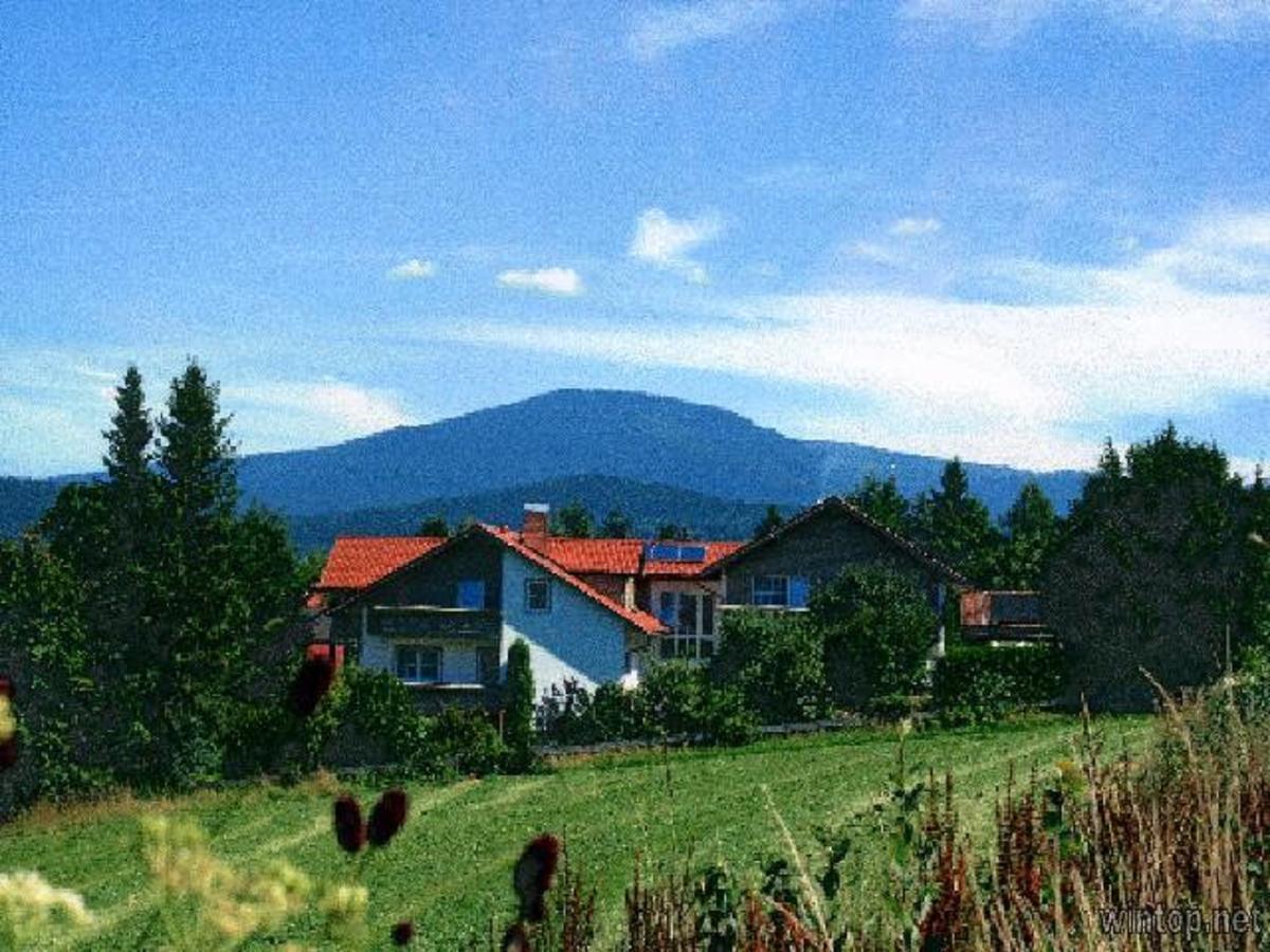 צוויזל Pension Landhaus Hochfeld מראה חיצוני תמונה
